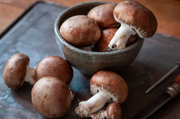 Brown Paris Portobello Mushrooms Grey Bowl Metal Tray — Stock Photo, Image