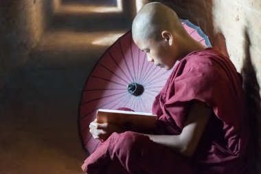 Monk okuma kitabı