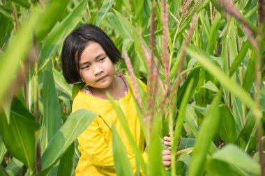 Asyalı kız mısır tarlası yürüyüş