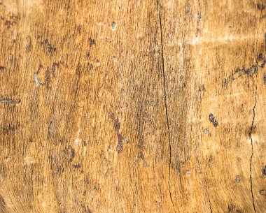 Doku kabuk. Ahşap Texture.beautiful doku. Doğa Texture.Backg