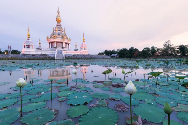 Wat Thung Setthi Khon Kaen — 图库照片