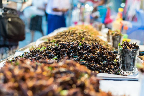 fried crickets local Thai food