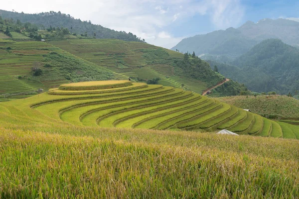 Mam xoi view point, Mu Cang Chai — стокове фото