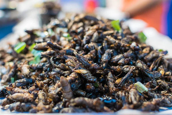 Fried Crickets Thai street food