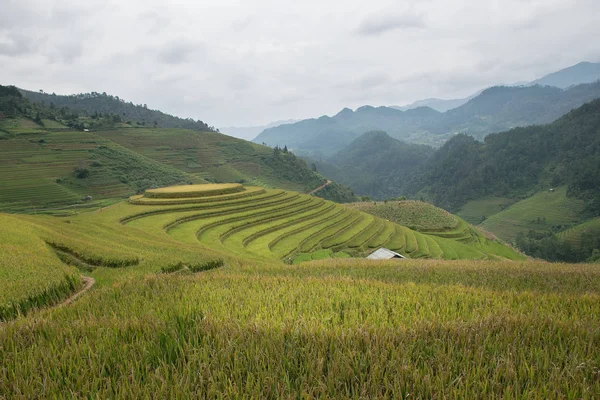 MU Чанг Chai рисові тераси — стокове фото