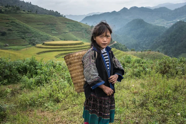 Chica con cesta con montañas en el fondo — Foto de Stock