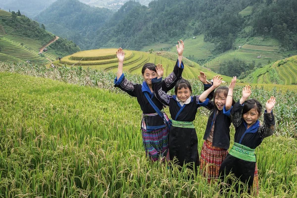 Chicas de pie cerca del campo de arroz — Foto de Stock