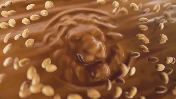 Chocolade Noten Leeuwennuga — Stockvideo