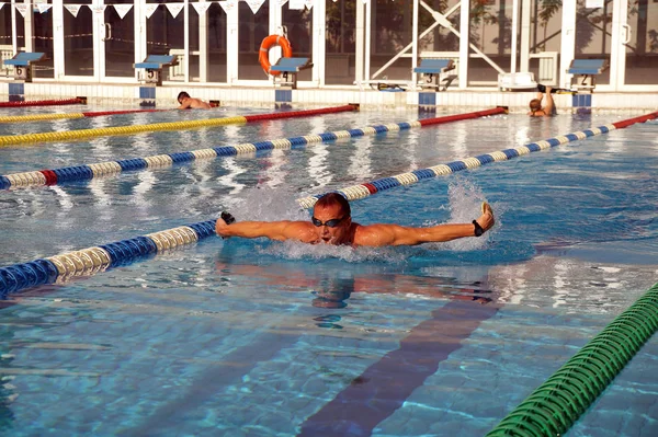 Nadador en la piscina —  Fotos de Stock