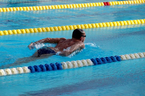 Schwimmer im Schwimmbad — Stockfoto