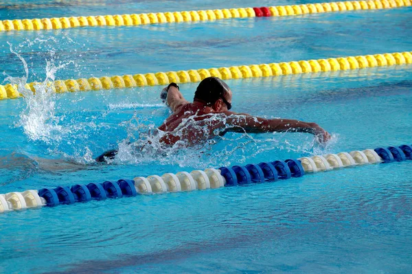 Nadador na piscina — Fotografia de Stock