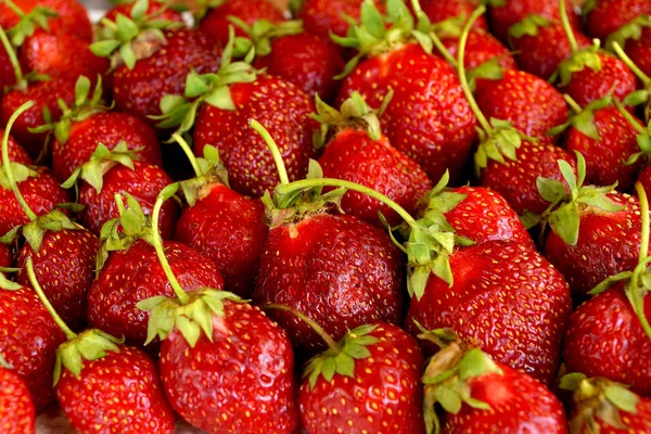 Spargimento di fragola rosso scuro — Foto Stock