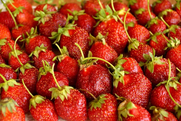 Streuung der dunkelroten Erdbeere Stockbild