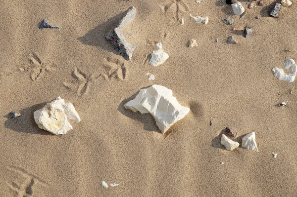 Kum ve taş bir plajda