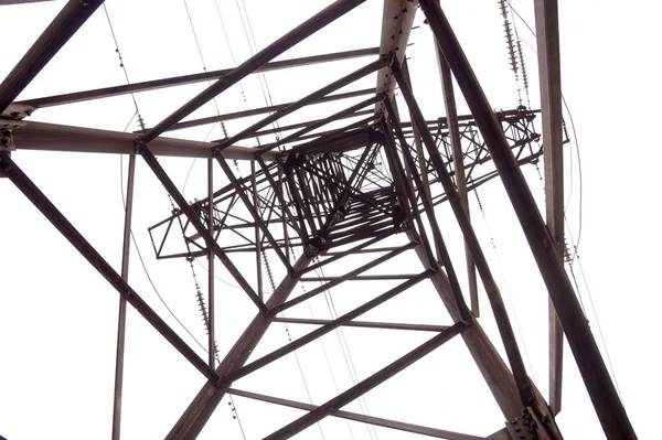 Vecchio albero di linee elettriche — Foto Stock