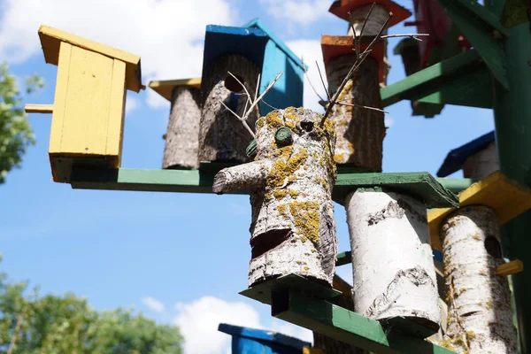 Grupo de logias para cajas de anidación de aves —  Fotos de Stock