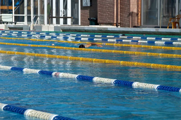 Yüzme havuzunda yüzen