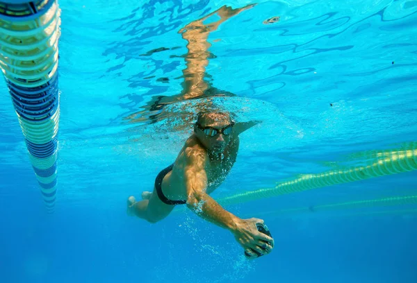 Simmare i poolen — Stockfoto