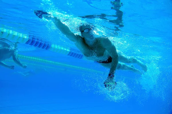 Пловец в бассейне — стоковое фото
