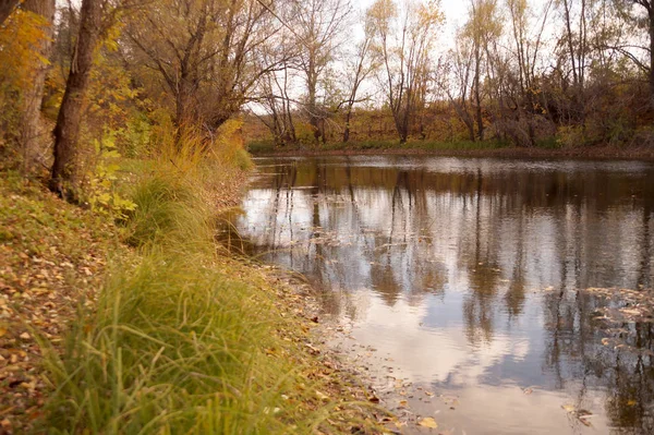 Herbstetüde am Ufer eines Stausees — Stockfoto