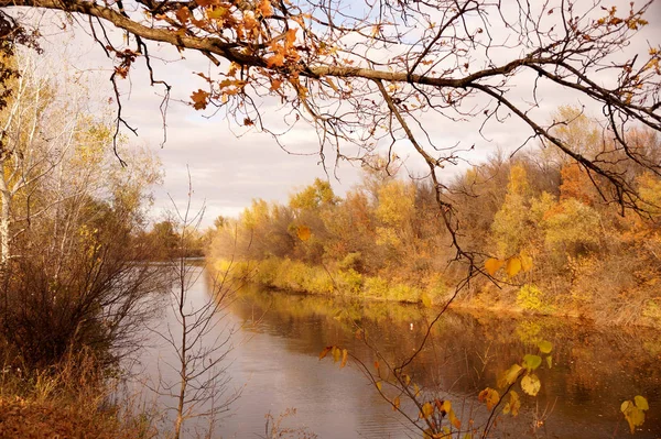 Bir baraj gölünün kıyısında sonbahar Etüt