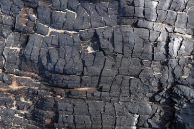 Yakılan aşağı ağaç öğesi