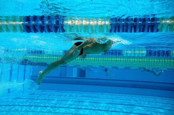 Swimmer in the swimming pool — Stock Photo, Image