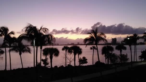 Drohne Miami Bei Sonnenaufgang Über Dem Wasser — Stockvideo