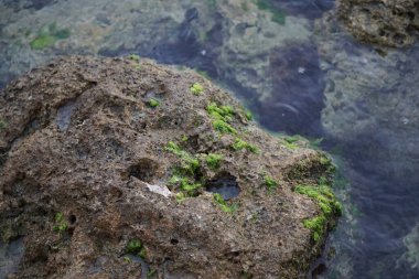 Florida 'da güneş batıyor. Köprü ve tekne manzaralı.