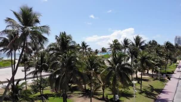 Zuid Strand Miami Antennes Door Drone — Stockvideo
