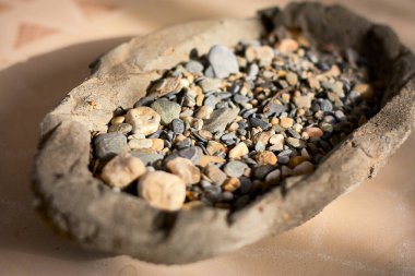 Bahçede bir yürüyüş