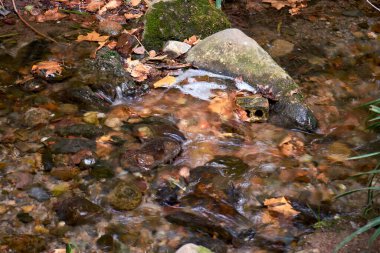 Alhambra 'nın çevresi