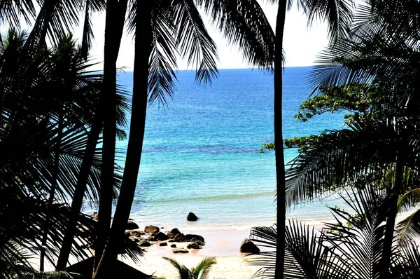 Amazing tropical  beach with palm trees — Stock Photo, Image