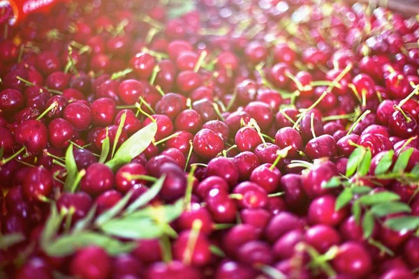 Bayas rojas sabrosas con hojas verdes — Foto de Stock