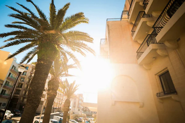 Jasné slunce svítí na Evropský Ostrov Malta, domy a palm stromy — Stock fotografie