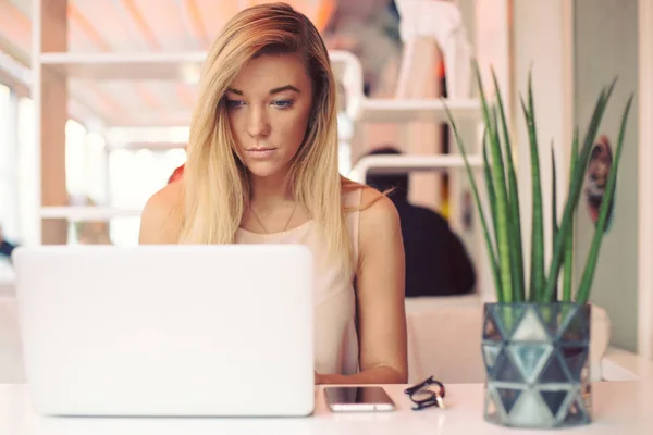 Vackra unga allvarliga affärskvinna arbetar på en bärbar dator i ett mysigt café på morgonen — Stockfoto
