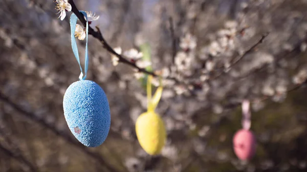Happy easter. Colorful  Easter eggs on the blossom tree. Easter egg hunt for kids.