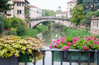 Vicenza' ana köprüler