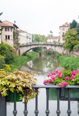 Vicenza' ana köprüler