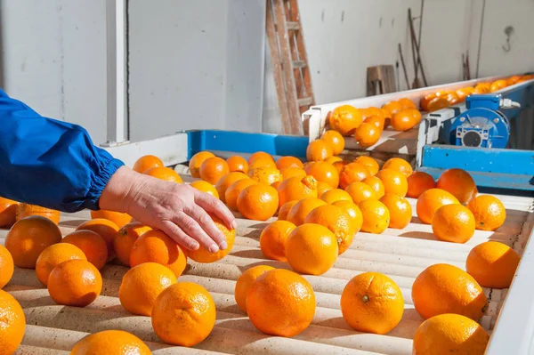 The working of oranges