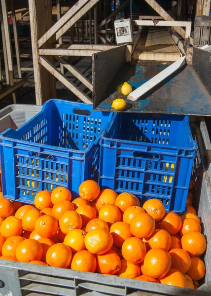 El funcionamiento de las naranjas —  Fotos de Stock