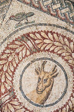 Eski Roma mozaikleri