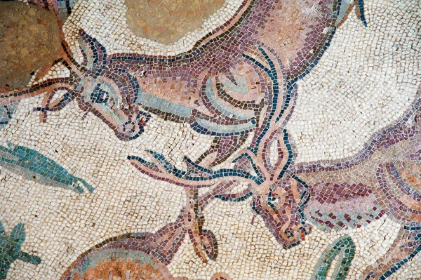 Old roman mosaics — Stock Photo, Image