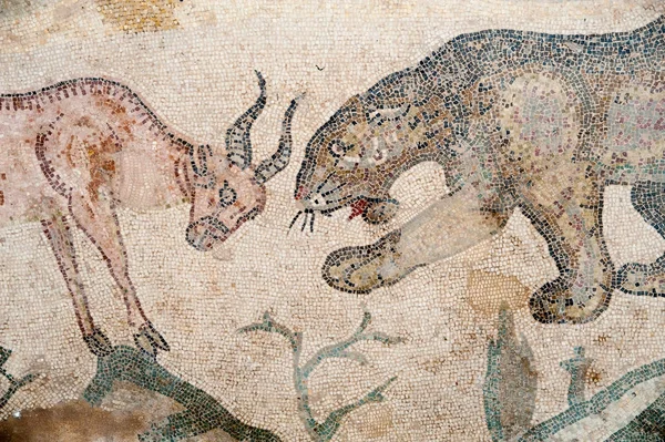 Old roman mosaics — Stock Photo, Image