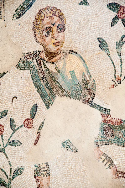 Vecchi mosaici romani — Foto Stock