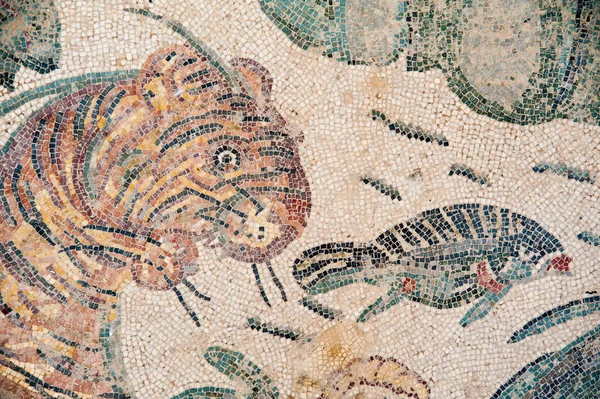 Old roman mosaics — Stock Photo, Image