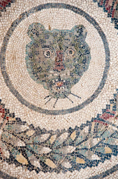 Old roman mosaics — Stock Photo, Image