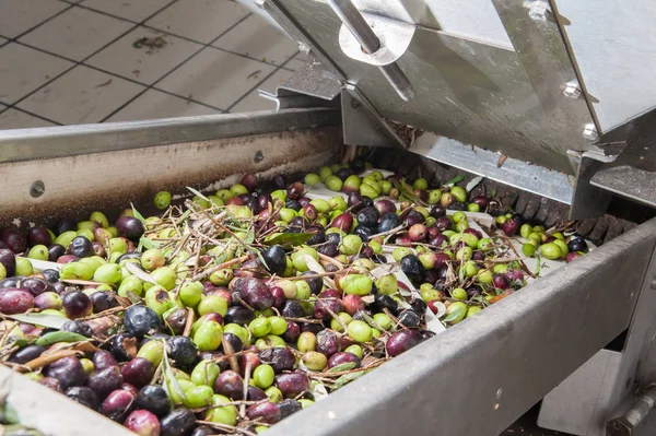 Yağ fabrikası işlemi