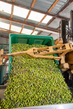 Yağ fabrikası işlemi