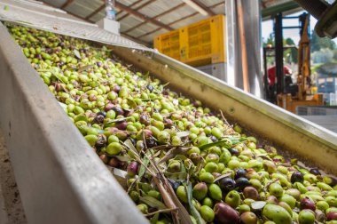 Yağ fabrikası işlemi